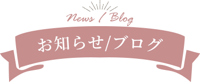 お知らせ/ブログ
